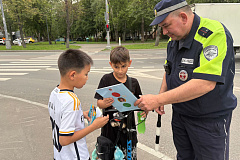 На территории Юго-Восточного округа города Москвы госавтоинспекторы провели профилактическую акцию «Маленький пешеход»