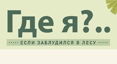 Спасатели напоминают: «лесного плена» можно избежать