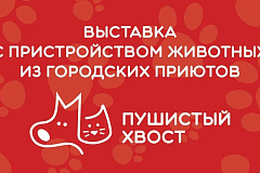 Ищете хвостатого друга? Приходите в Измайловский парк!