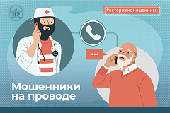 Мошенники на проводе